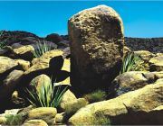 BOYU Фон для аквариума двухсторонний 30см*15м (J67/J66-30)