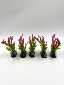 Искусственное растение 15см 