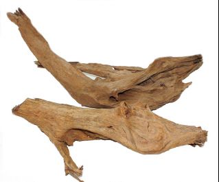 Коряга мангровая, размер XL. (58-66см.) (KM-XL-R)