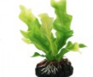 Искусственное растение 15см 