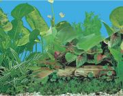 BOYU Фон для аквариума двухсторонний 60см*15м (J11/J14-60)