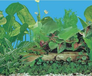 BOYU Фон для аквариума двухсторонний 60см*15м (J11/J14-60)