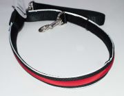 Светящийся поводок с USB-зарядкой (красный) 2.5см*120см (нейлон+LED) (JPF-893USB-red)
