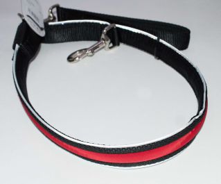 Светящийся поводок с USB-зарядкой (красный) 2.5см*120см (нейлон + LED) (JPF-893USB-red)