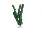 Искусственное растение 