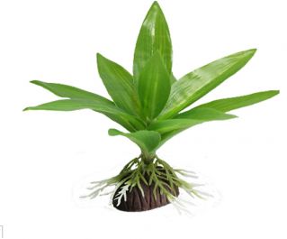 Искусственное растение 10см. 