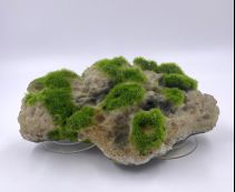 Аквадизайн 