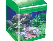 BOYU Аквариум зеленый, 26л, фильтр 4Вт, светильник 11/13Вт (ASD-320MD green)
