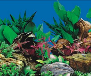 BOYU Фон для аквариума двухсторонний 50см*15м (J67/J69-50)