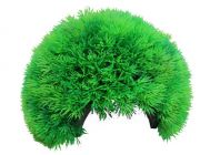 Грот-укрытие 