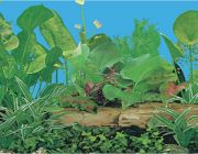 BOYU Фон для аквариума двухсторонний 60см*15м (J14/J53-60)