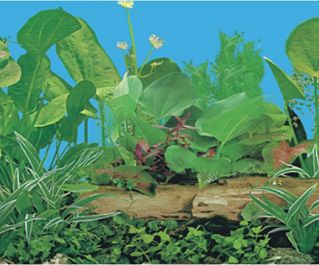 BOYU Фон для аквариума двухсторонний 60см*15м (J14/J53-60)