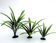 V Шелковое растение 