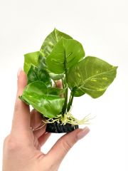 Искусственное растение 15см 