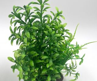 Искусственное растение 22см, в картонной коробке  (YM-3220)