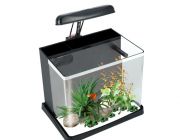BOYU Аквариум 16л, фильтр 2,5Вт,светильник 2,4Вт (ME-300)