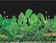 BOYU Фон для аквариума двухсторонний 40см*15м (J11/J14-40)