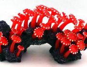 Грот с кораллами (21*9*10см.) (YM-1236B)