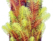 Кабомба красно-салатовая 38см в картонной коробке (YS-60517)