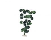 V Шелковое растение 40см (AP-111-40)