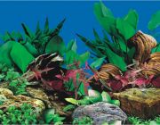 BOYU Фон для аквариума двухсторонний 50см*15м (J67/J68-50)