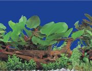 BOYU Фон для аквариума двухсторонний 30см*15м (J69/J59-30)