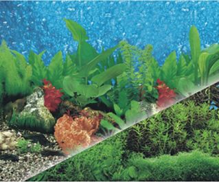 BOYU Фон для аквариума двухсторонний 60см*15м (J19/J33-60)