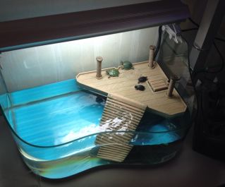 Акватеррариум (51*33*28 см) со светильником (51см.24Вт) черный (ATA52B/Z-Black)