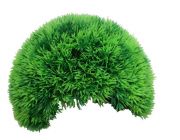 -Грот-укрытие 