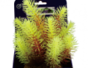 Кабомба красно-салатовая 20см в картонной коробке (YS-60514)