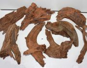 Коряга мангровая, размер M (KM-M-R)