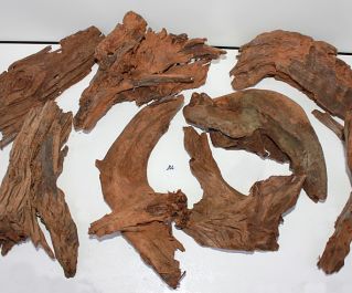 Коряга мангровая, размер M (KM-M-R)