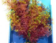 Искусственное растение 20см 