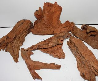 Коряга мангровая, размер ML (KM-ML-R)