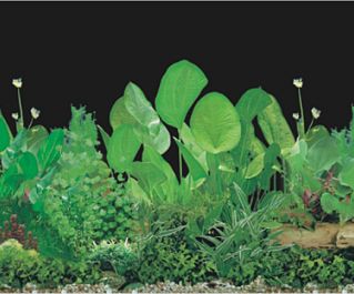 BOYU Фон для аквариума двухсторонний 30см*15м (J11/J14-30)