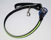 Светящийся поводок (зеленый) 2.5см*120см (нейлон+LED) (JPF-893-green)