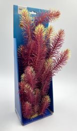 Кабомба красно-салатовая 38см в картонной коробке (YS-60517)