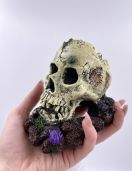 Грот для аквариума 