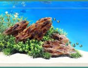 Композиция в стиле 