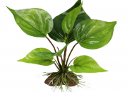 Искусственное растение 15см 