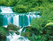 BOYU Фон для аквариума двухсторонний 60см*15м (J75/J11-60)