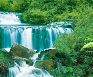 BOYU Фон для аквариума двухсторонний 60см*15м (J75/J11-60)