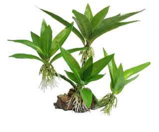 Искусственное растение 20см 