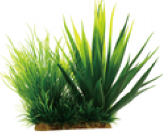 Композиция 