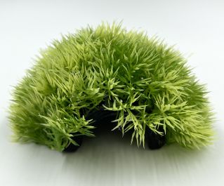 Грот-укрытие 