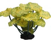 V Шелковое растение 