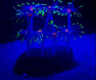 Светящийся декор для аквариума 
