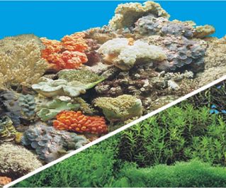 BOYU Фон для аквариума двухсторонний 40см*15м (J54/J33-40)