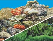 BOYU Фон для аквариума двухсторонний 50см*15м (J54/J33-50)