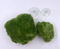 Аквадизайн 